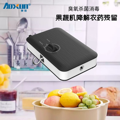 果蔬消毒机家用食材净化器臭氧活氧蔬菜清洗去农药残留厂家批发
