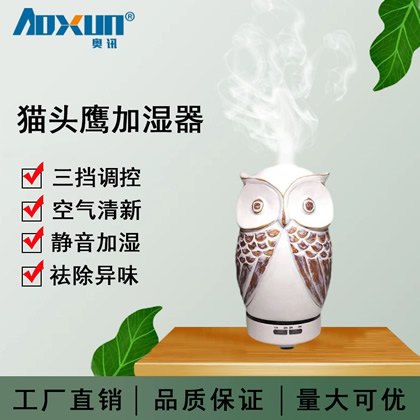 新款加湿器创意猫头鹰喷雾精油香薰机雾化礼品车载 家用加湿器